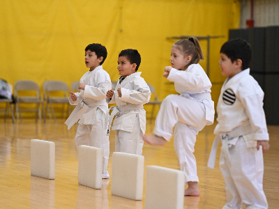 Pre-Karate Beginning/White Belt (9/3-12/10)
