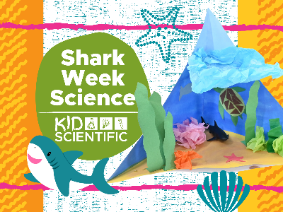 Kidcreate Studio - Eden Prairie. Shark Week Science Workshop (5-12 Years)